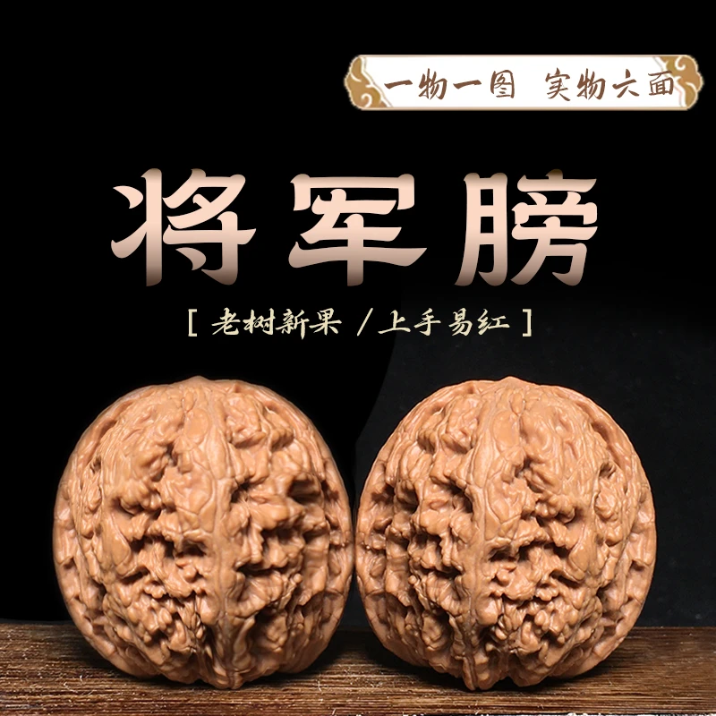 文玩核桃手把件将军膀麻核桃一物一图
