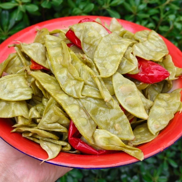 安徽六安农家手工腌制泡扁豆开胃下饭特色泡扁豆