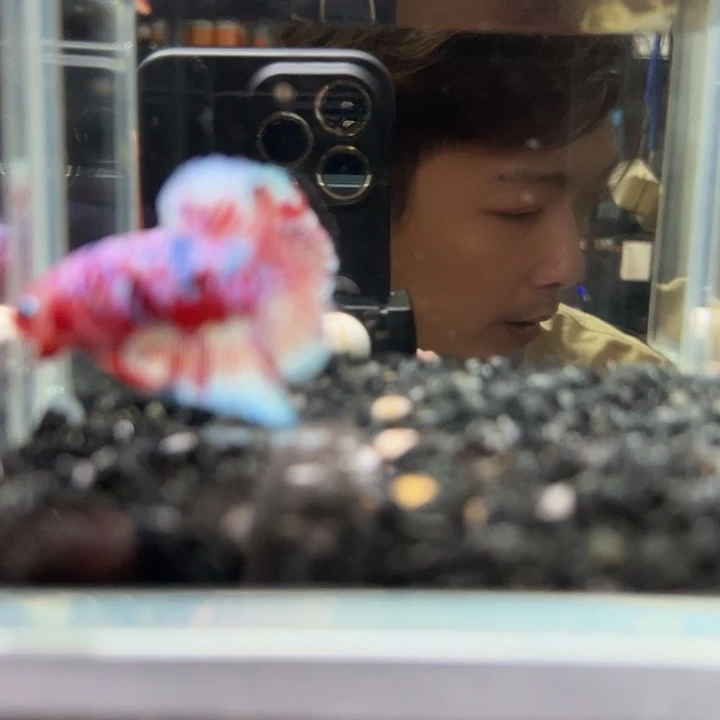 斗鱼竞拍跑单拉黑16日23