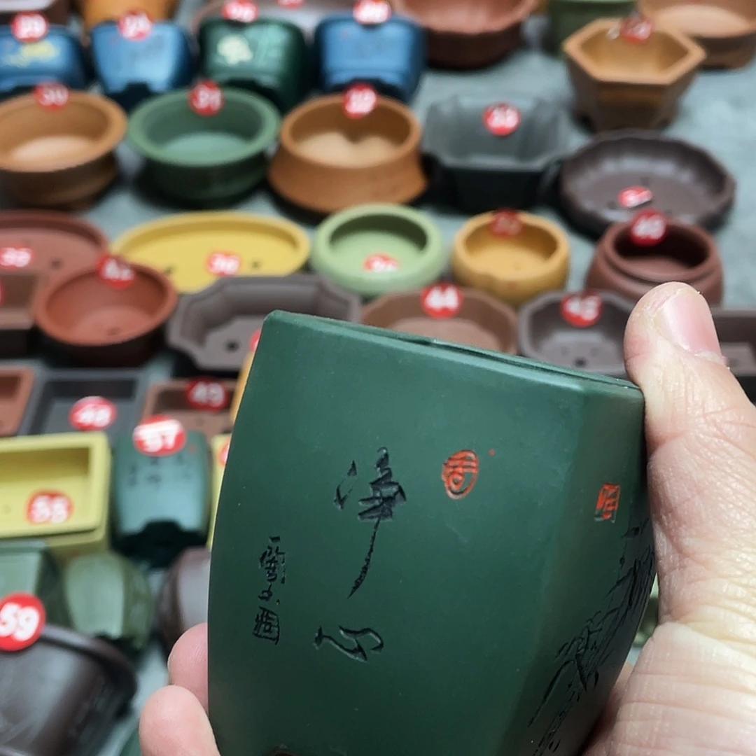 笛***处紫砂小盆5*6cmmmm