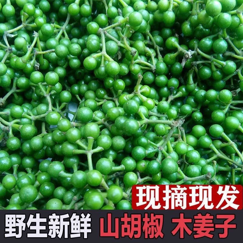贵州新鲜现摘木姜子山苍子山胡椒可作酸汤火锅底料顺丰包邮