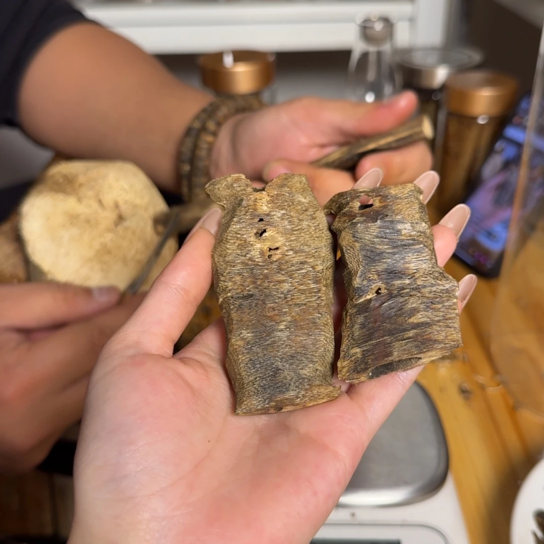 沉香白奇颗粒20克