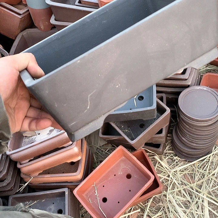 紫砂我要不明天要早起上课