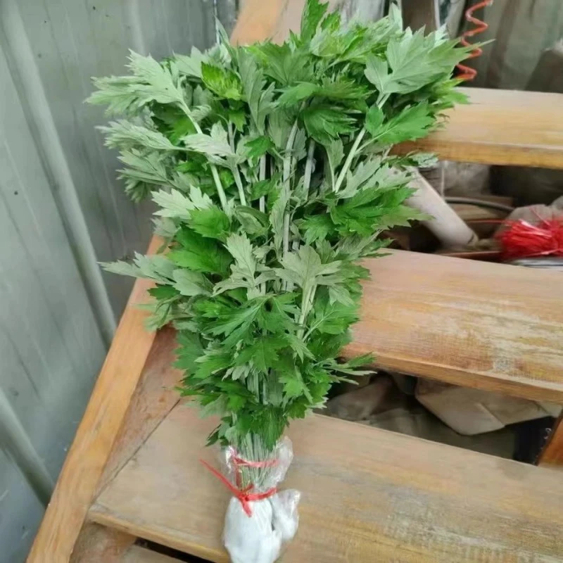 新鲜整颗艾草现剪现发