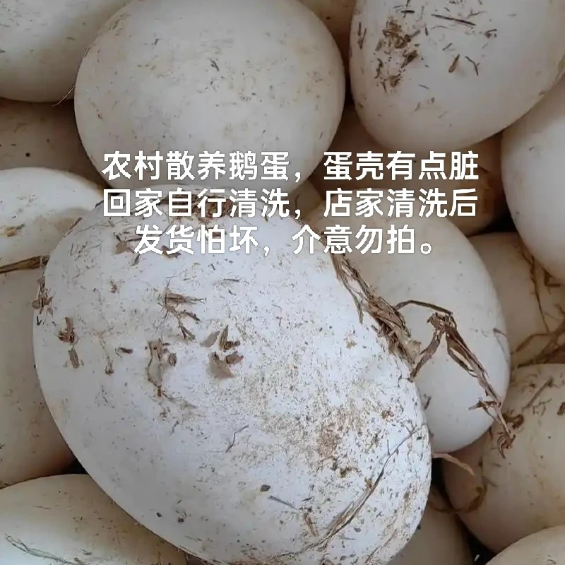 【顺丰包邮】保真农村鹅蛋，农村散养鹅蛋，孕妇儿童老人吃真正土鹅蛋
