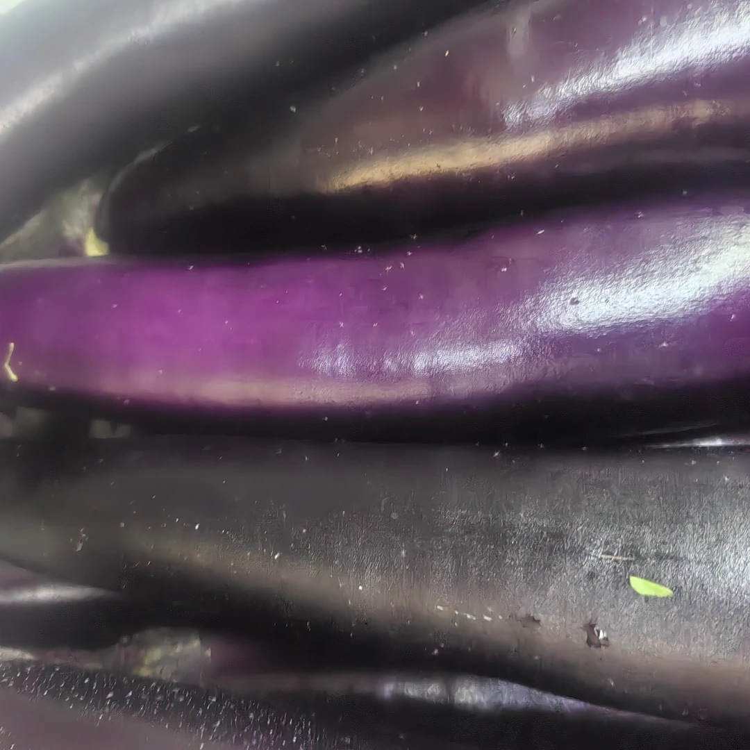 本地高光大龙茄子400克7.99