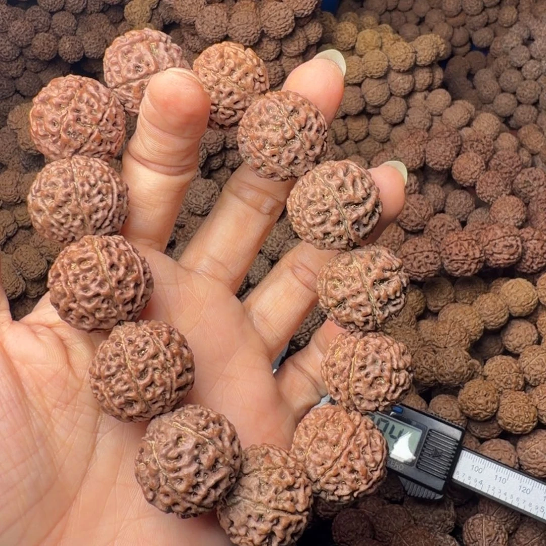 金刚菩提手串67瓣卡22尺，82号