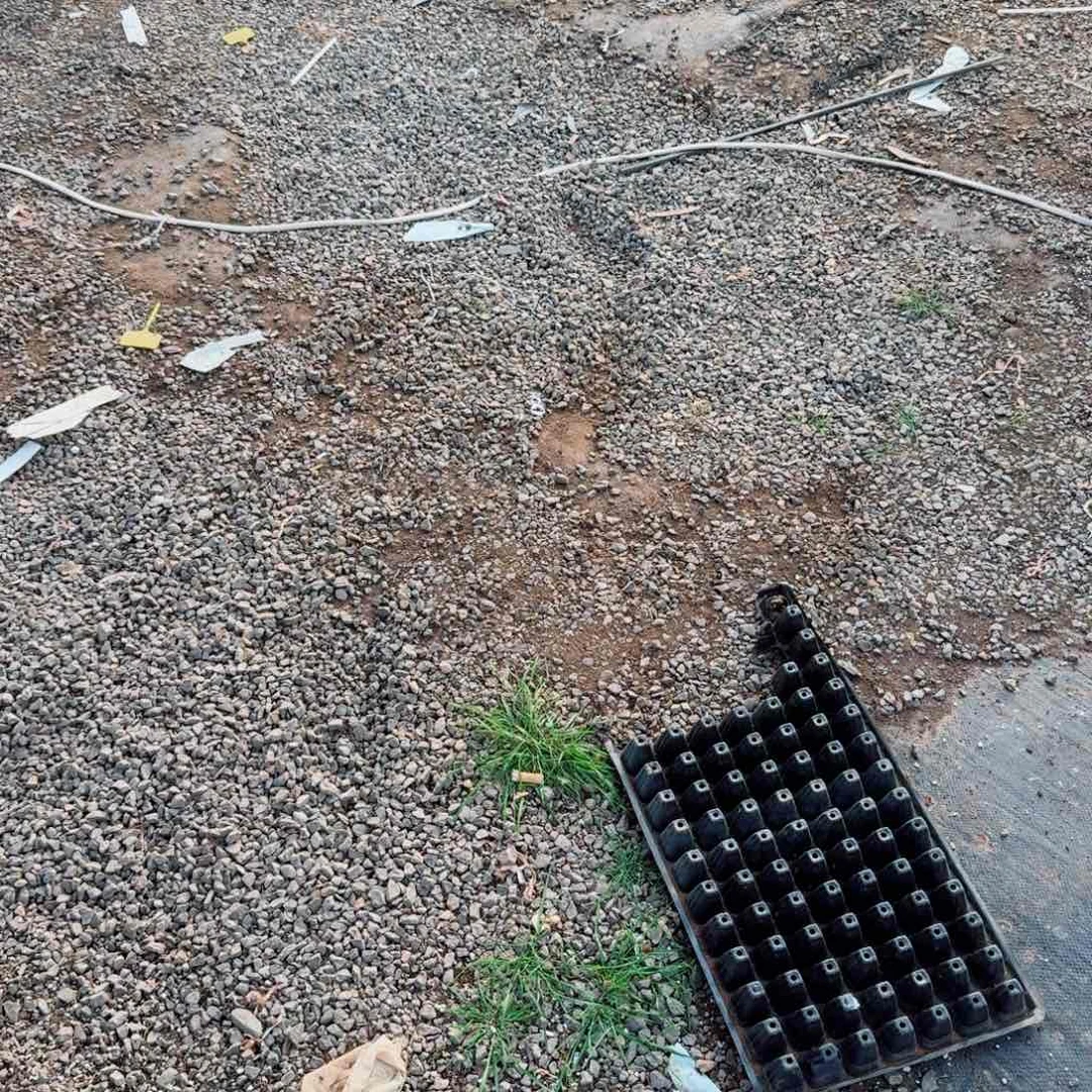 三十颗珍妮穴盘量拍