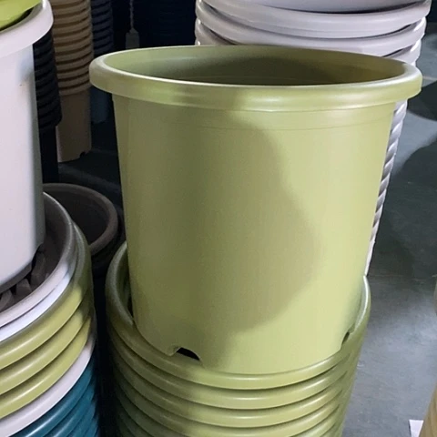 特价9号4个无托果绿