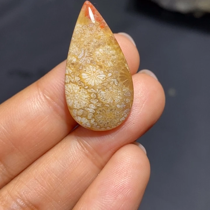 【闪购商品】未镶嵌珊瑚玉硅化玉