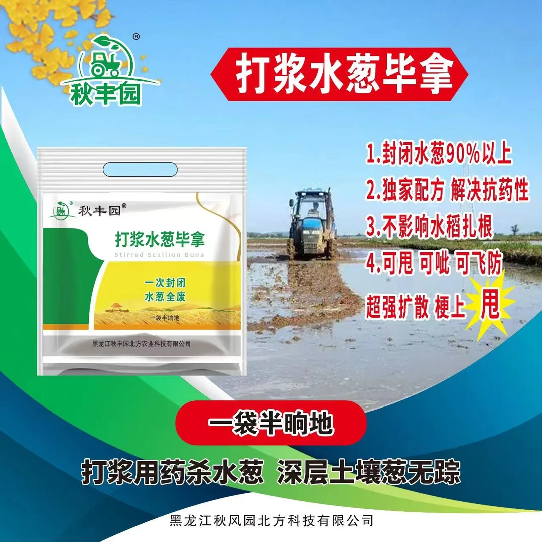 秋丰园（打浆水葱毕拿）：一晌地两袋。