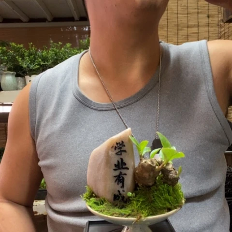 红陶猫**6一物一拍所见即所得84