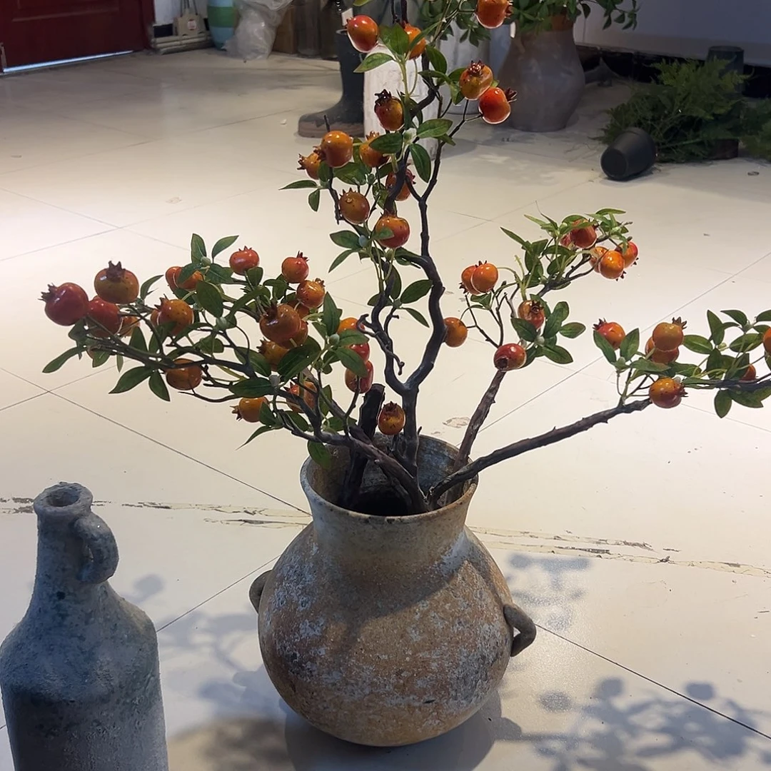 抖音直播间石榴树一支