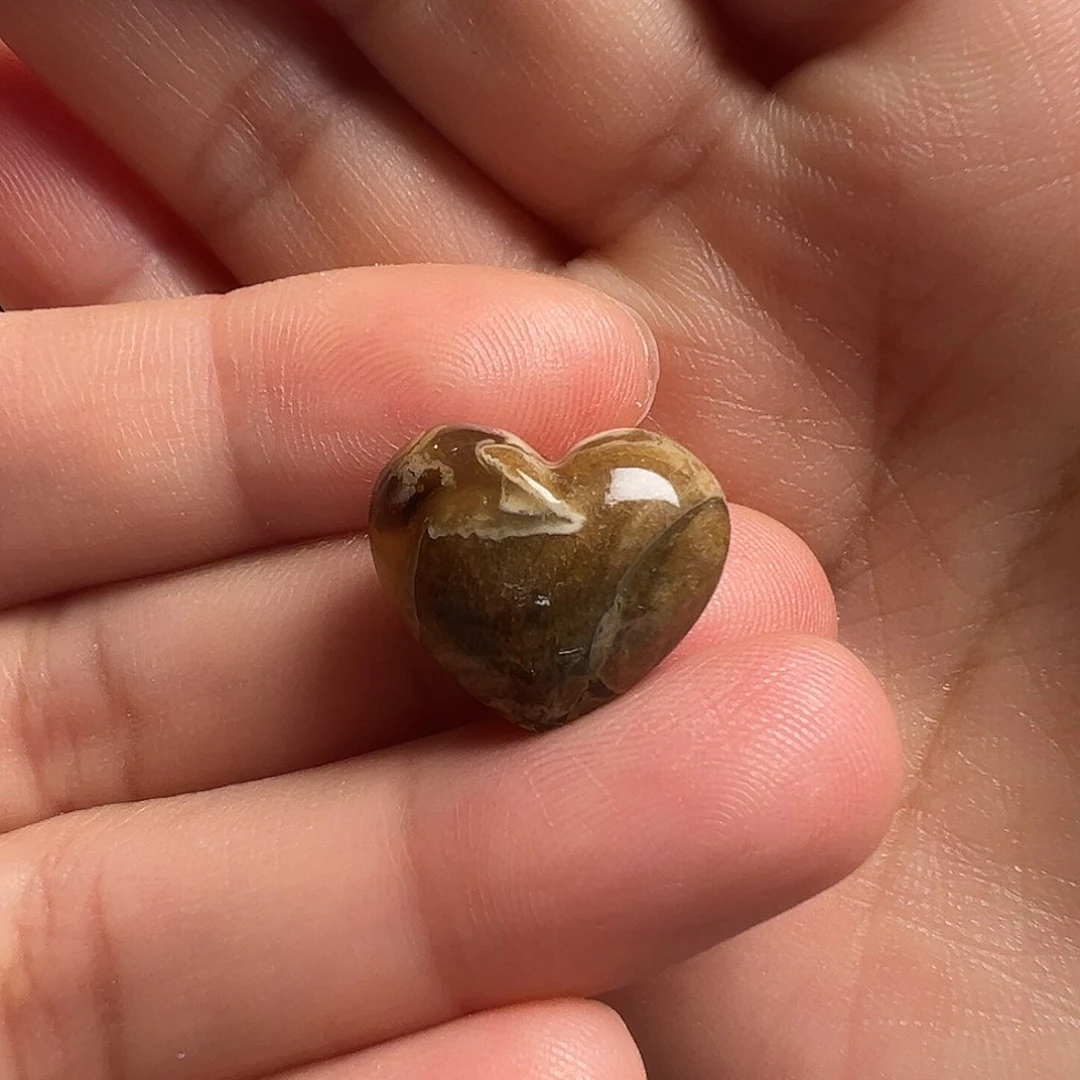 琥珀（根珀）颈饰未镶嵌屁桃（打孔不退换）