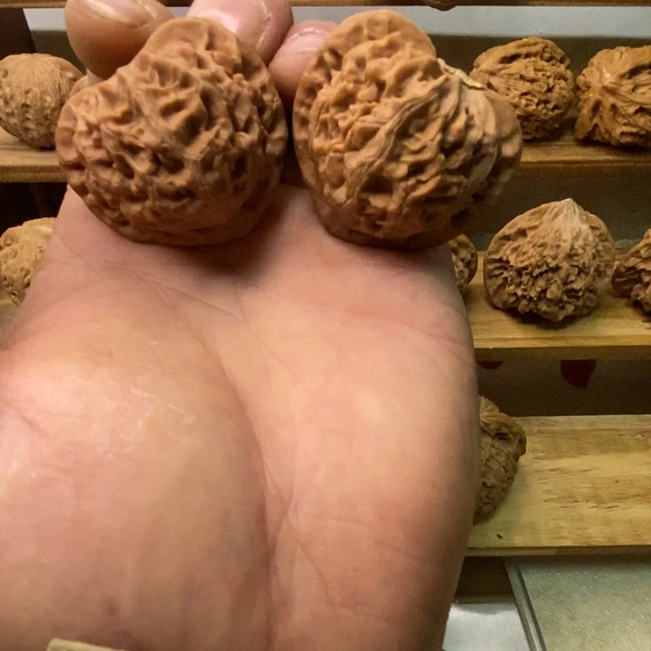 持***孩核桃宫灯全品一物一图