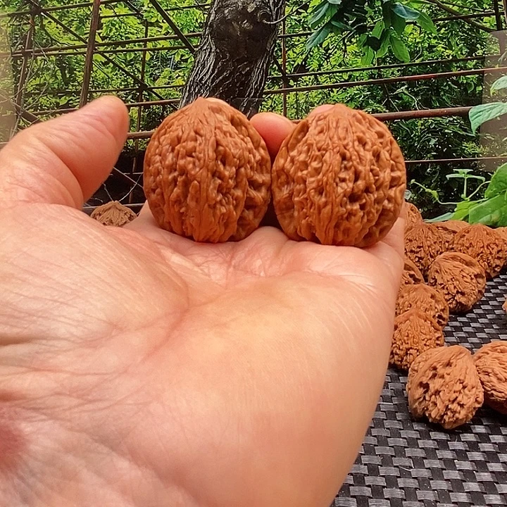 宝***果文玩核桃吊坠百年老树堂虎核桃