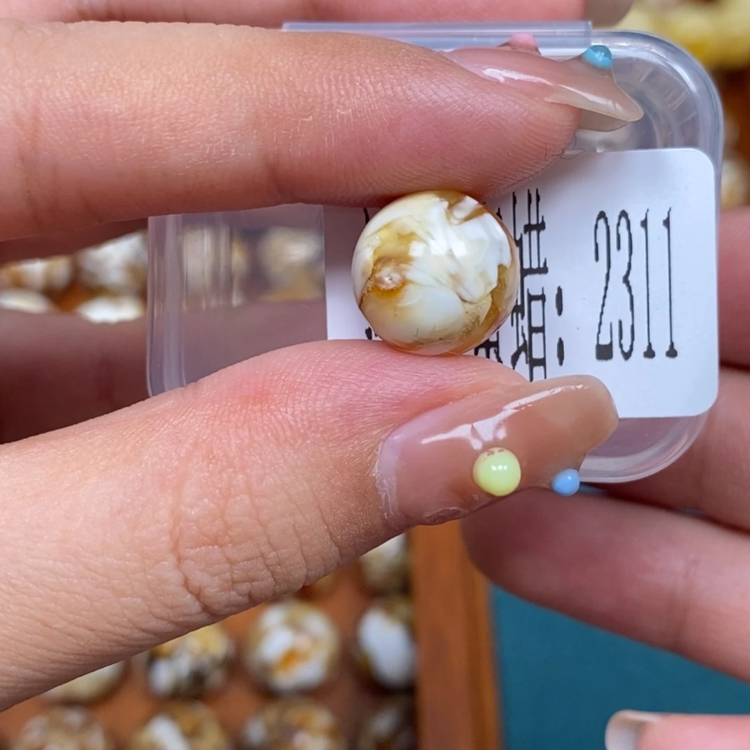 沁色蜜蜡未镶嵌2311