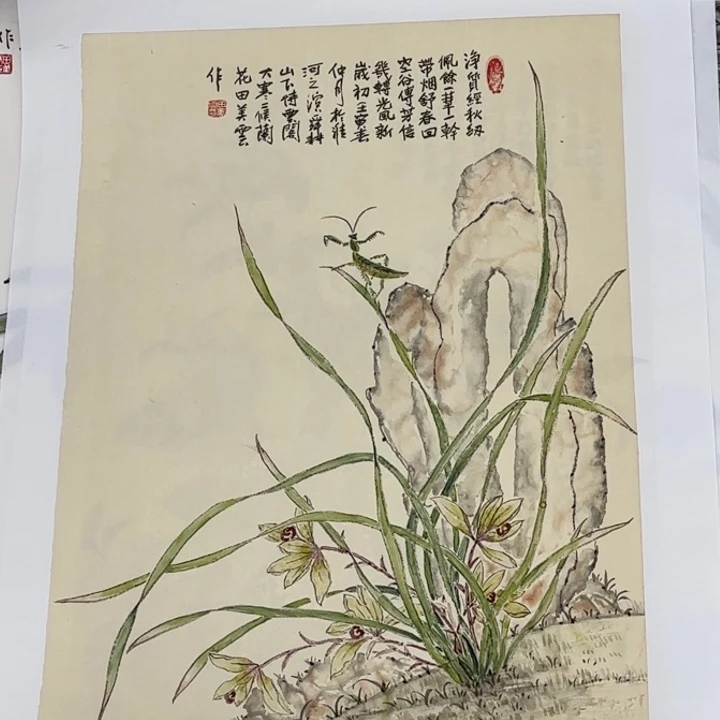 国画花鸟的翅膀和翅膀是一样长在我