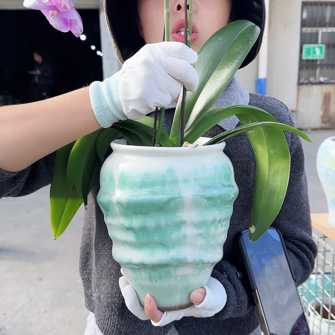 王嫂花盆1024-403高20口15
