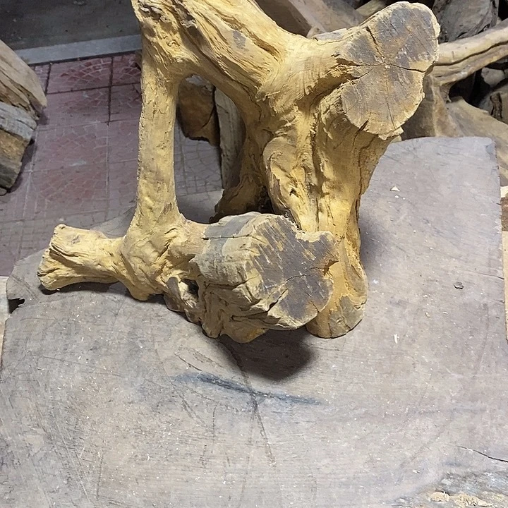 乌木类天*金丝楠木小叶