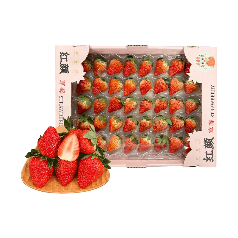 红颜草莓礼盒1kg
