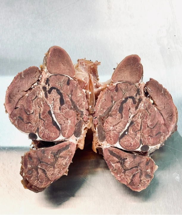 【五香牛花键】新鲜卤制 一层筋一层肉 嚼劲十足