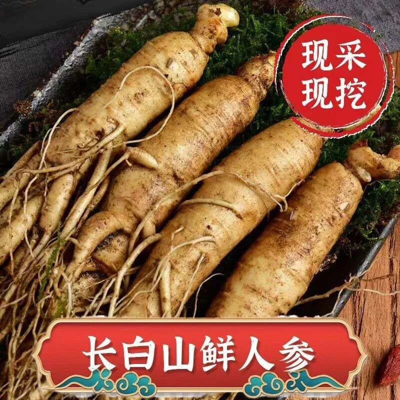 长白山人参新鲜顺丰空运到家