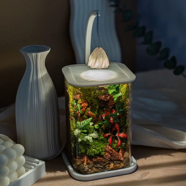 【送五只辣椒蟹】超白缸微景观高级感桌面生态缸带夜灯景观办公摆件