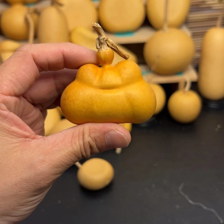 N**c睡觉咯哦哟摸摸哦哦女