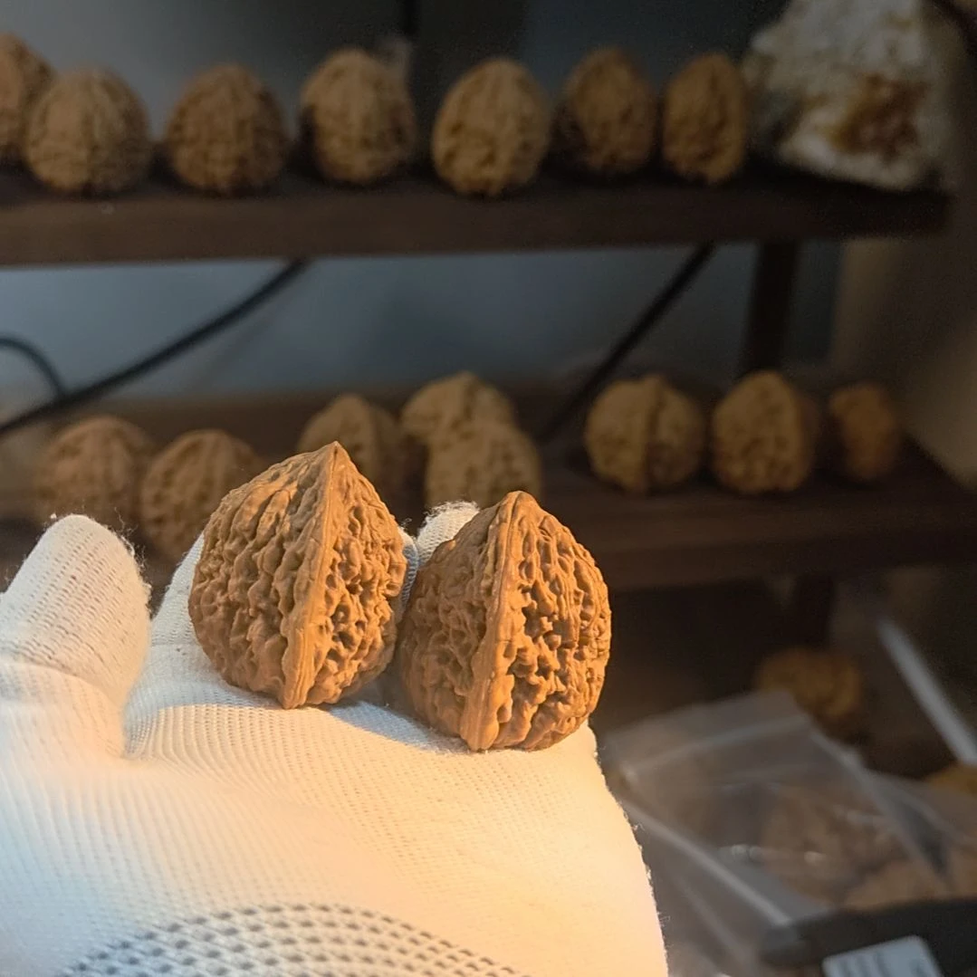 小****涿鹿南疆石扁肚子高炮福利