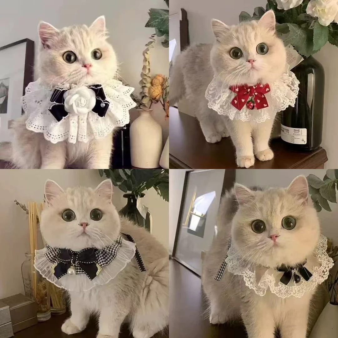 围巾帽子衣服项链配饰ins猫咪小型犬通用