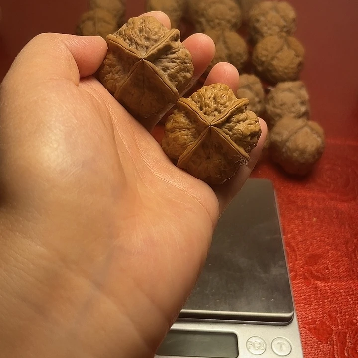 曾***我野生铁核桃四棱疙瘩包
