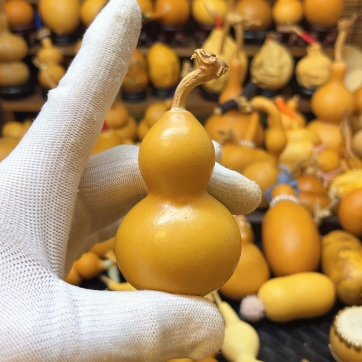 厚皮响籽小美微瑕45