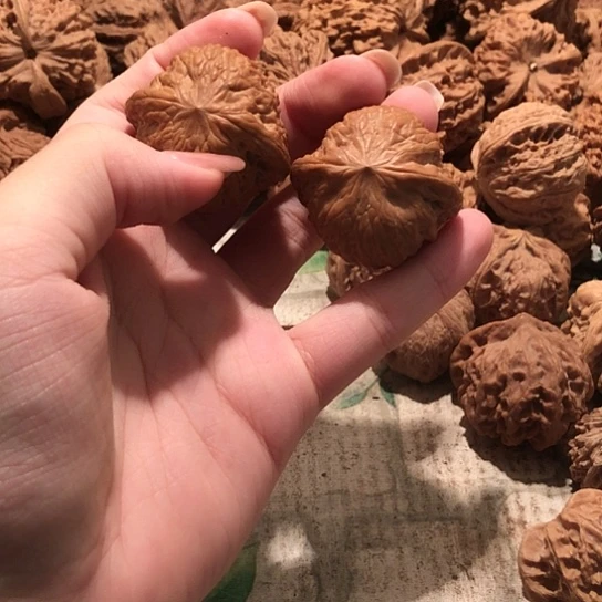 十***洲桃核吊坠核桃核桃核桃核桃