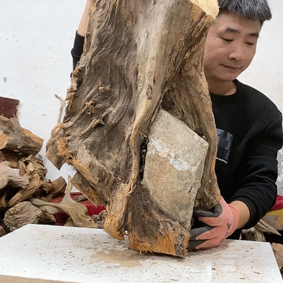 【闪购商品】柏木张**雕我们都是好孩子