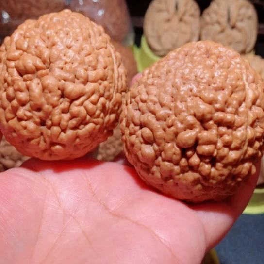 文玩核桃把件脑纹金刚菩提