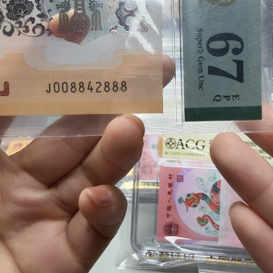 塑料008842888全偶尾豹子8