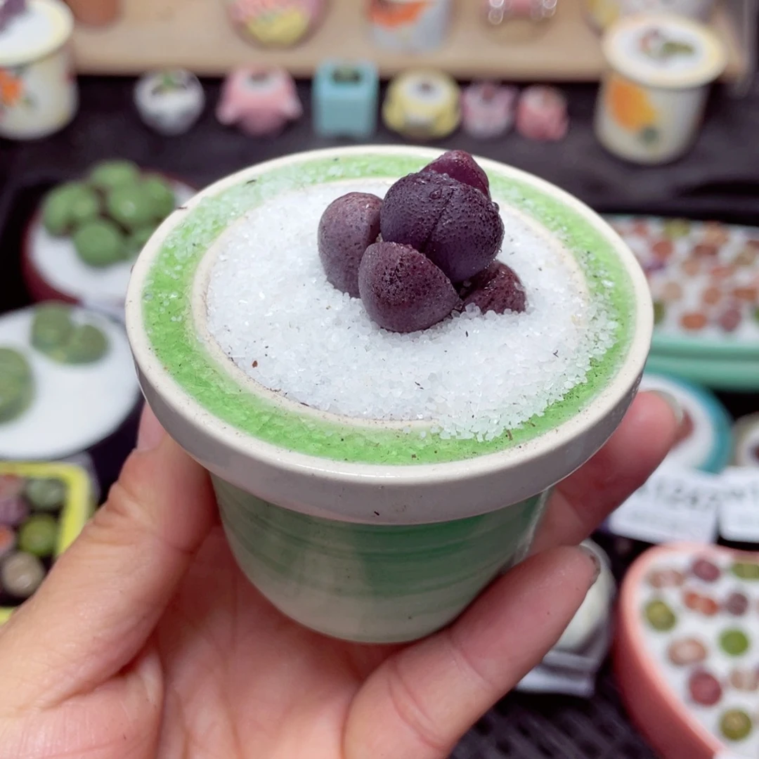 w1251 带盆土发货-零下地区拍保温箱