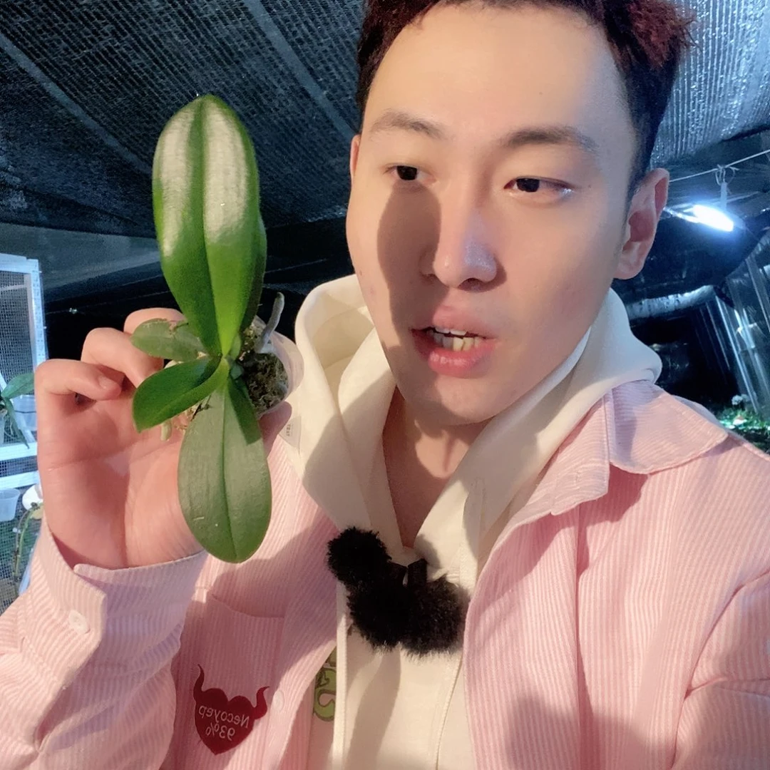 无花朵巫毒娃娃1.7