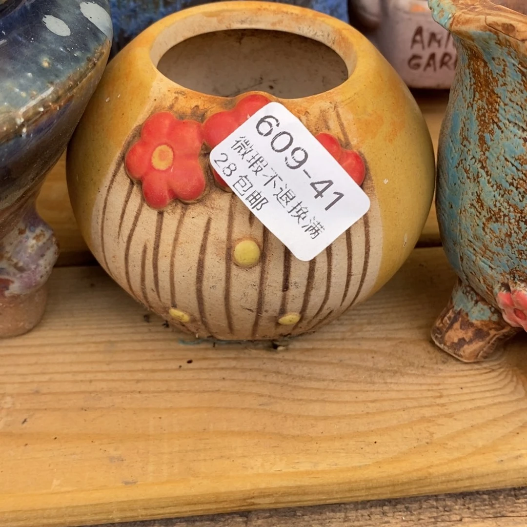 41号多肉盆口径小可爱