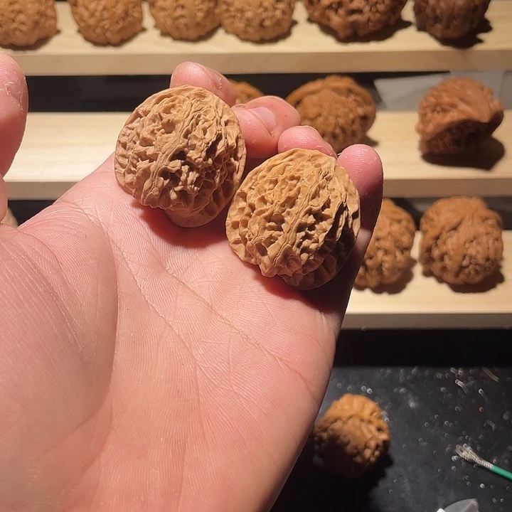 苹果园狮子头35全品