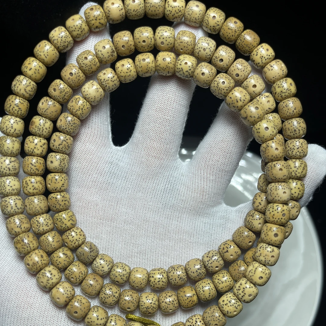 海南原生态星月菩提9*8月留白星点分布均匀