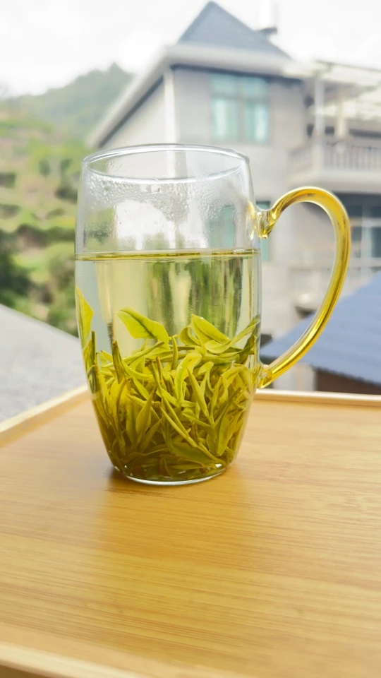 2025新茶绿茶春茶松阳本地云雾兰花香绿茶