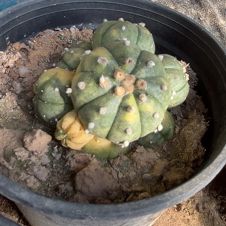 兜锦群^_^^_^^_^^_^^_^^_^