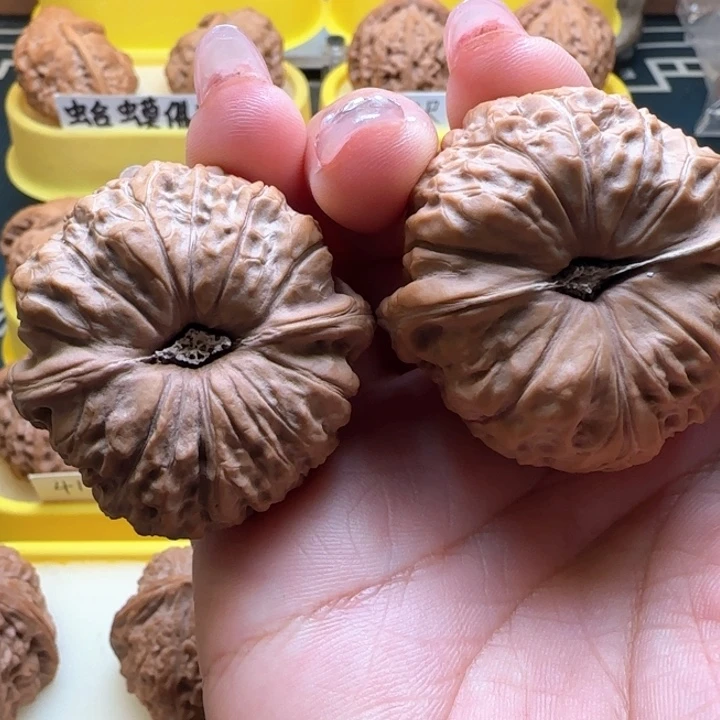 用****8文文核桃嗡嗡核桃南瓜