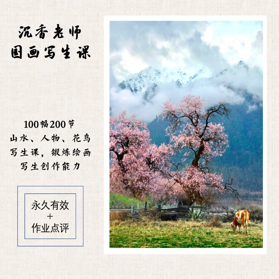 沉香老师 国画写生课