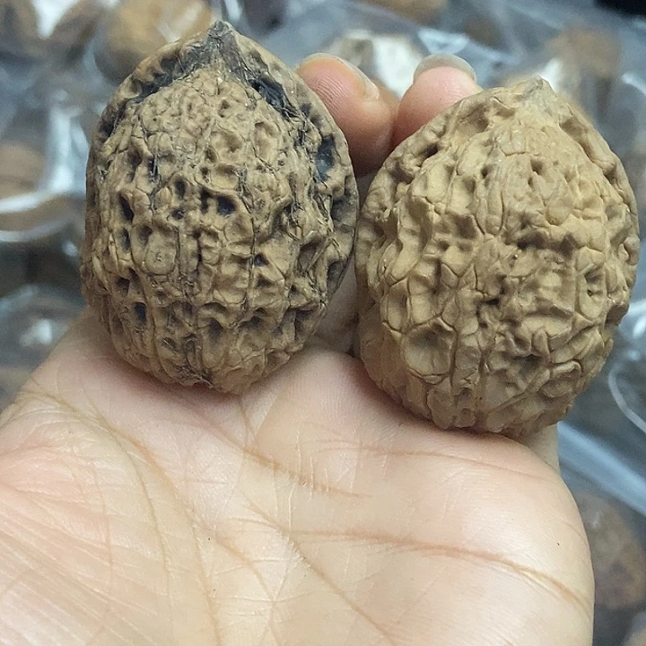 把件文玩核桃云南铁核桃基地28