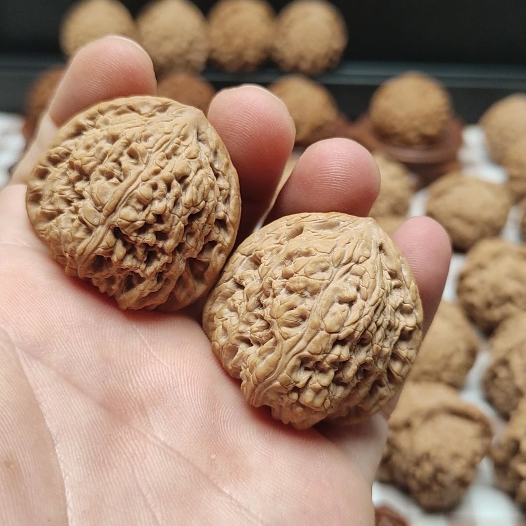 大叶紫檀（黑酸枝木类）密纹狮子头手把件