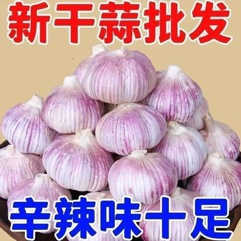 山东头茬新大蒜香辣多汁