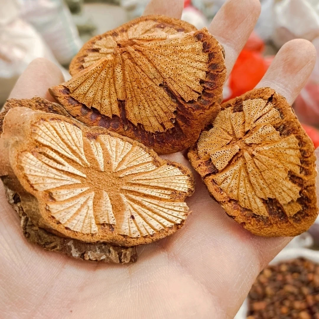 【血塞通】贵州野生血塞通